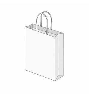 Sac papier poignée torsadée