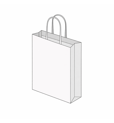 Sac papier poignée torsadée