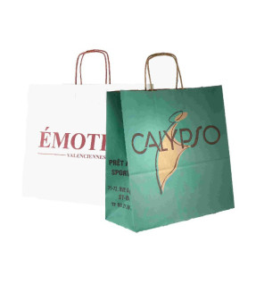 Sac papier imprimé poignée torsadée