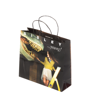 Sac papier imprimé poignée torsadée