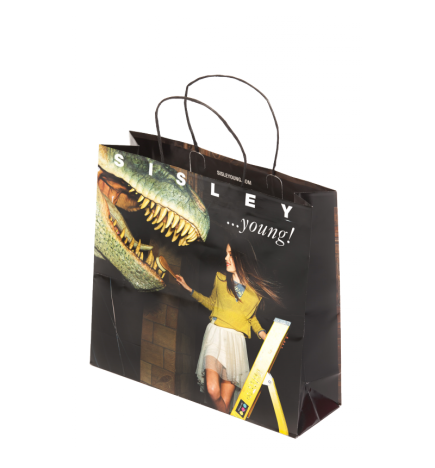 Sac papier imprimé poignée torsadée