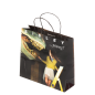 Sac papier imprimé poignée torsadée